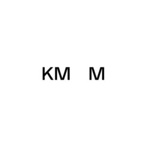 Kaunas City Museum logo